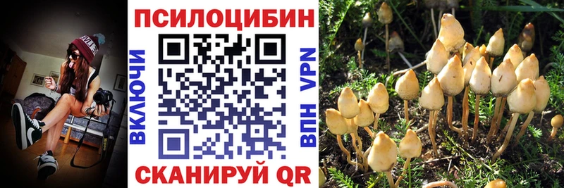 Галлюциногенные грибы Psilocybe  Венёв 